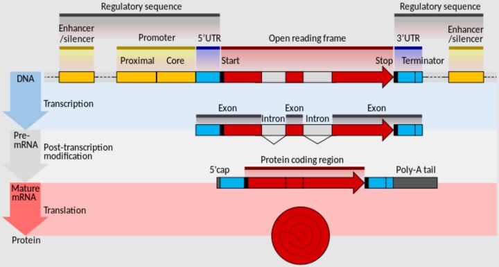Bioinformatics and Data Science
